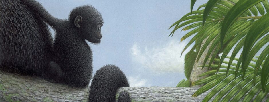 Louise Schroeder     Artist – Illustrator